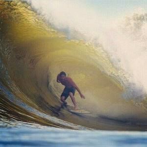 Meet your Posher, Josh